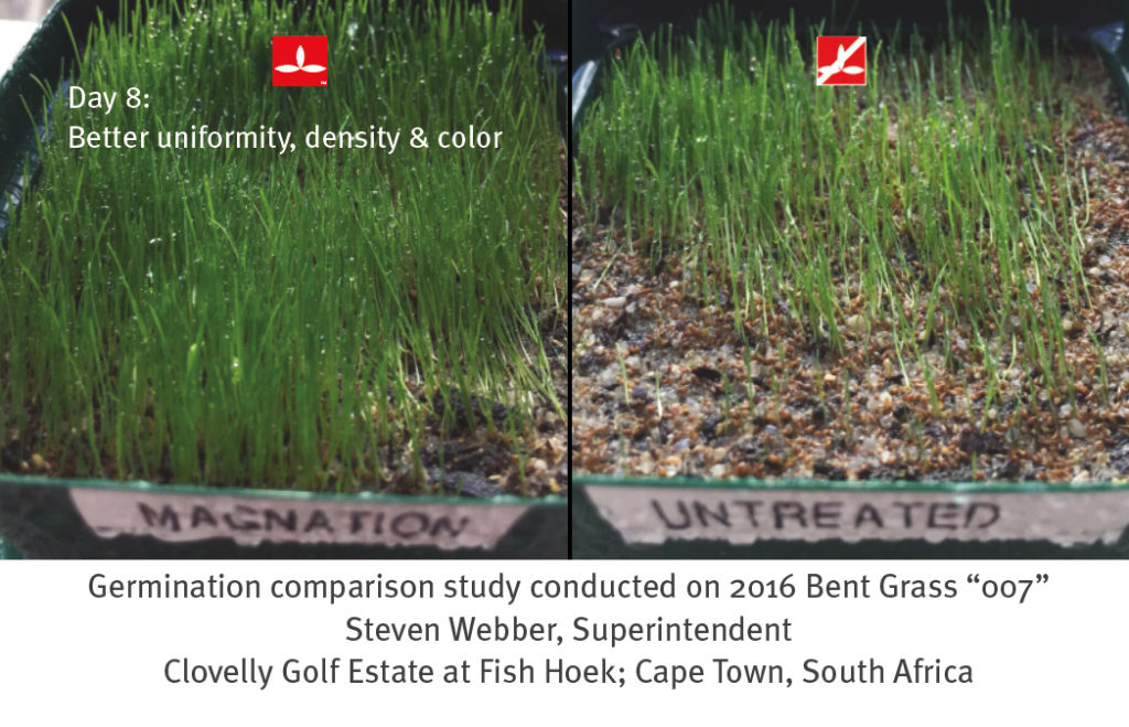 Better grass density and uniformity with MAgnation